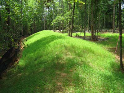 erosion pros stream protection