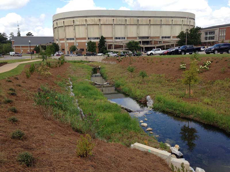 erosion pros rain basin